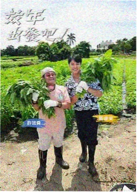 访谈情感综艺